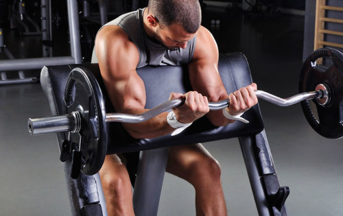 10 Laws Of Biceps Training